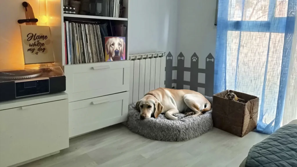 decorar un hogar donde habitan mascotas