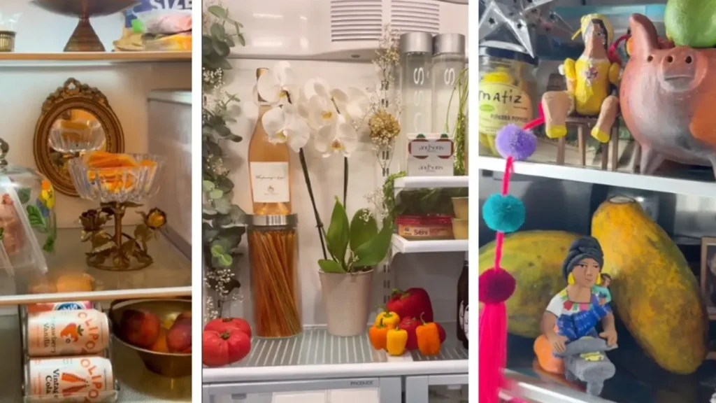 fridgescaping tendencia redes sociales